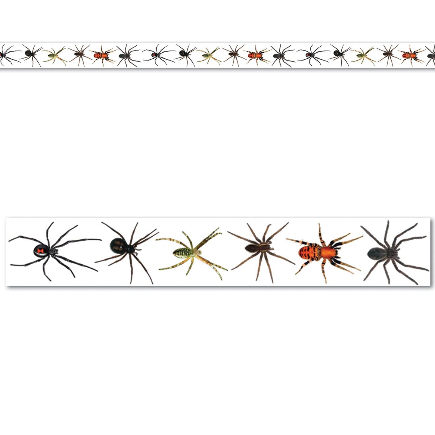 Beistle Spiders Party Tape - Halloween | Party Supply | Decoration