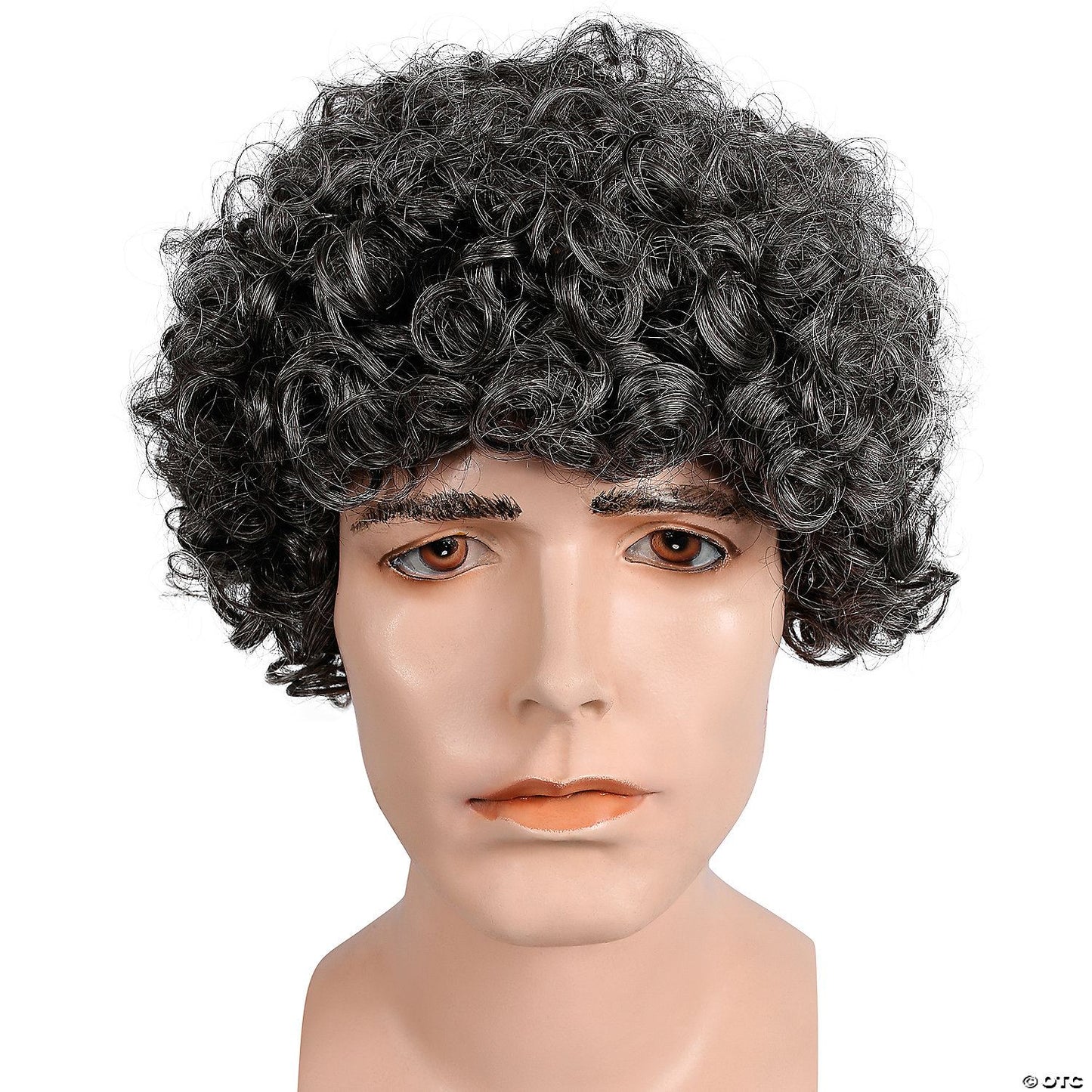 Mens Curly Wig | Gray