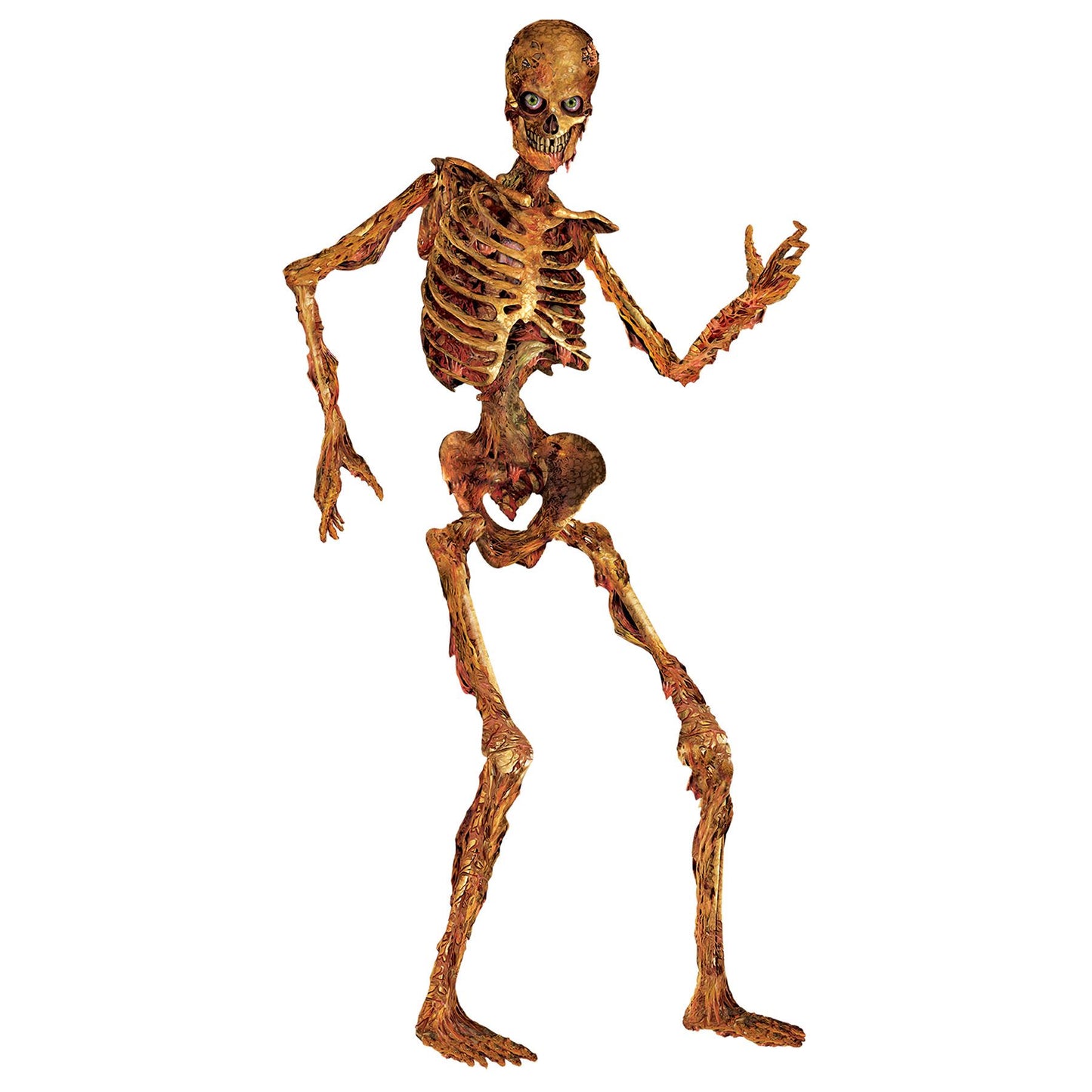 Beistle Jointed Skeleton, 6 ft - Halloween | Party Supply | Decoration
