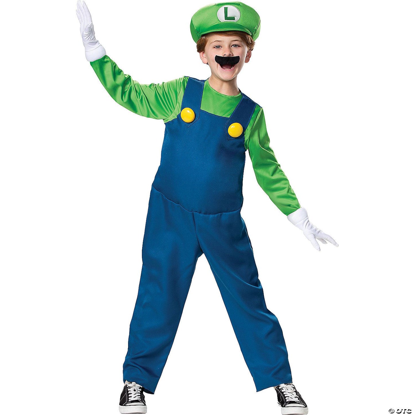 Boys Child Luigi Deluxe Costume