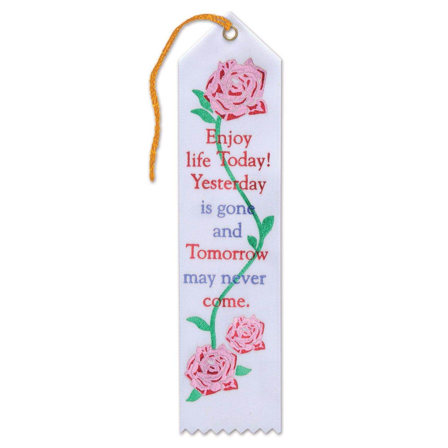 Beistle Enjoy Life Today Ribbon - Religious | Party Supply | Decoration