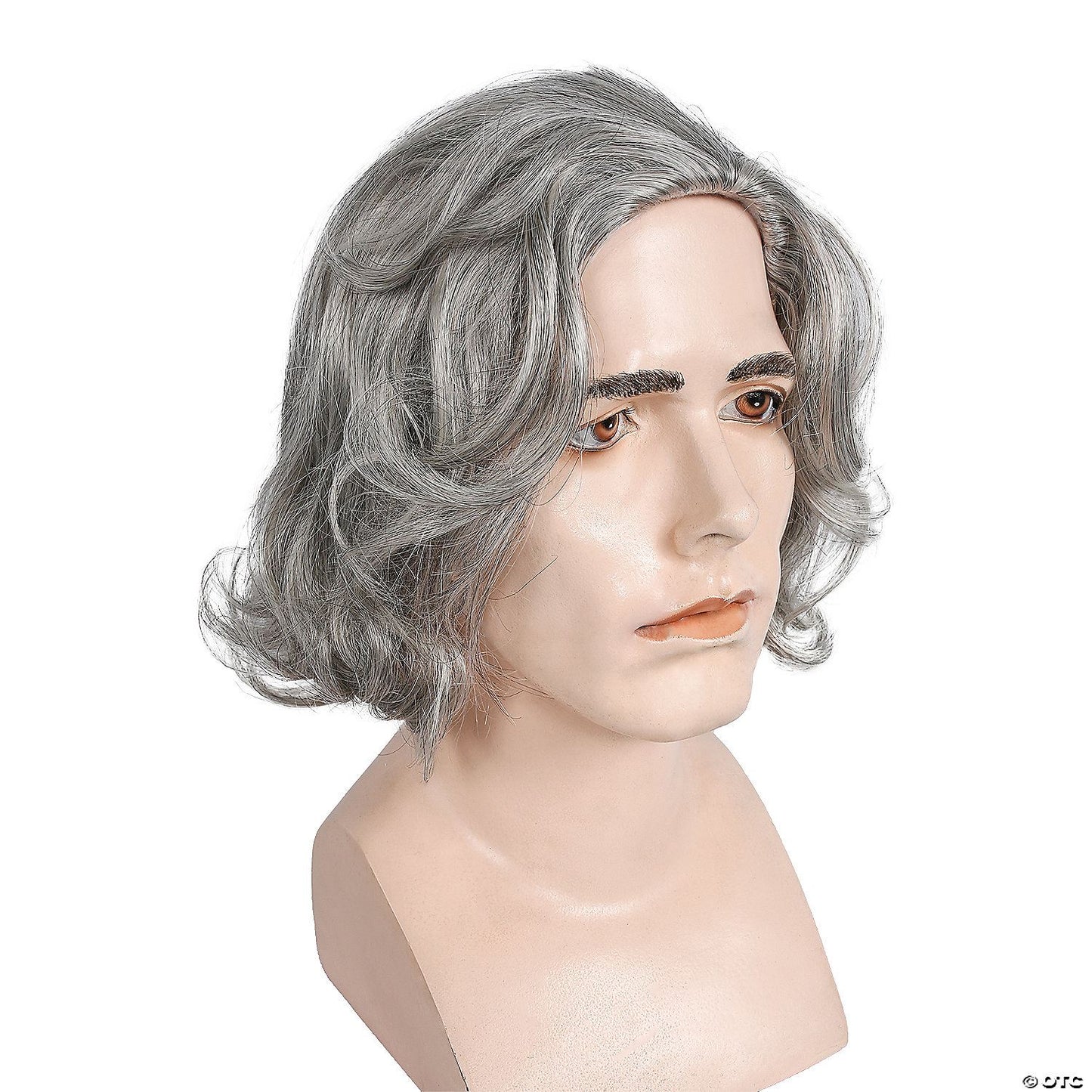 Mens Beethoven Wig | Gray