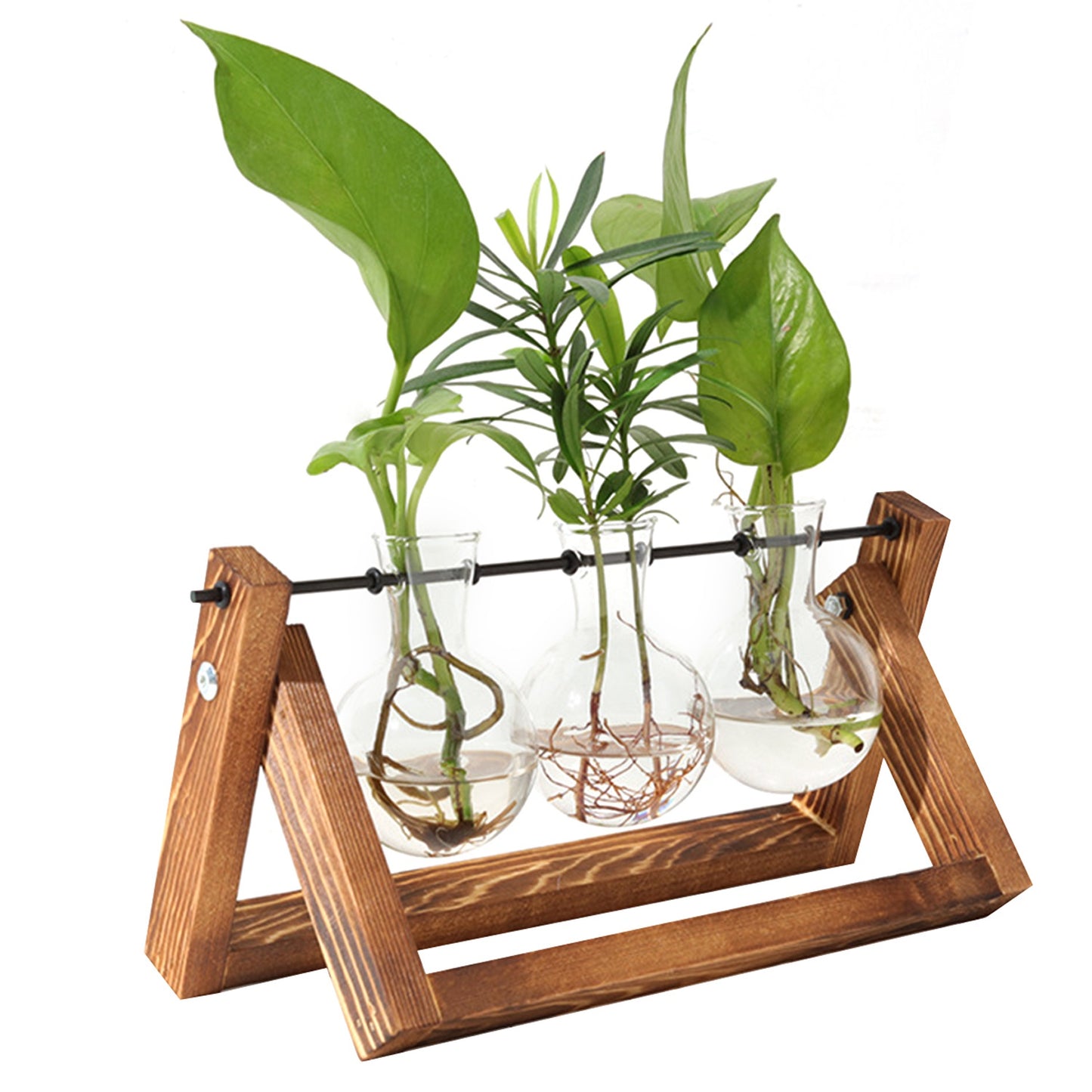Desktop Glass Planter Bulb Plant Terrarium with Wooden Stand Air Planter Glass