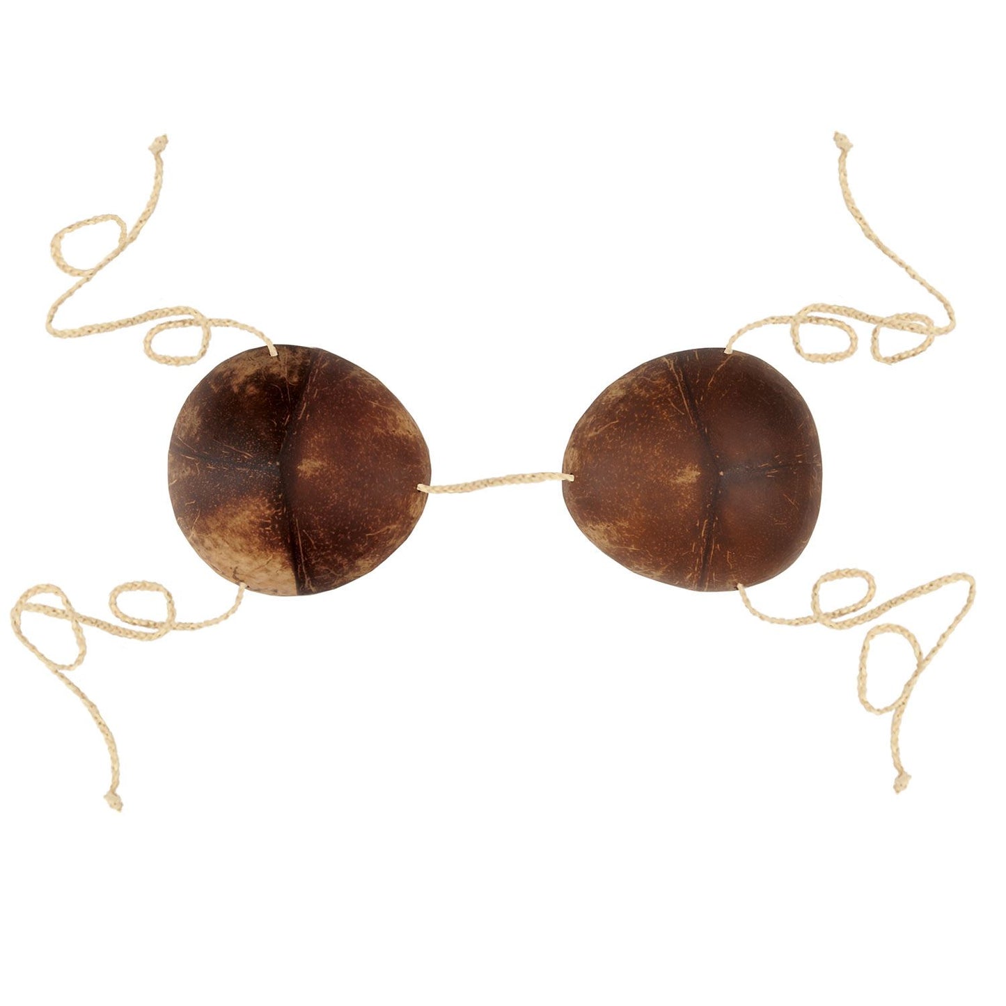 Beistle Coconut Bikini Top - Party Supply Decoration for Luau