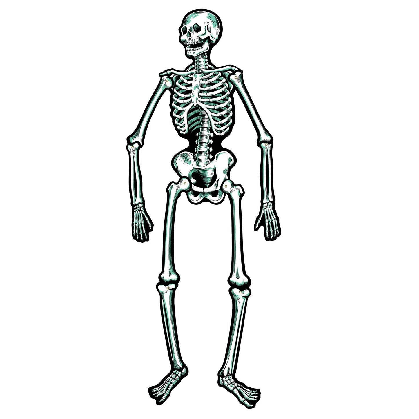 Beistle Two Jointed Skeletons, 22 inches tall - Party Decoration for Halloween