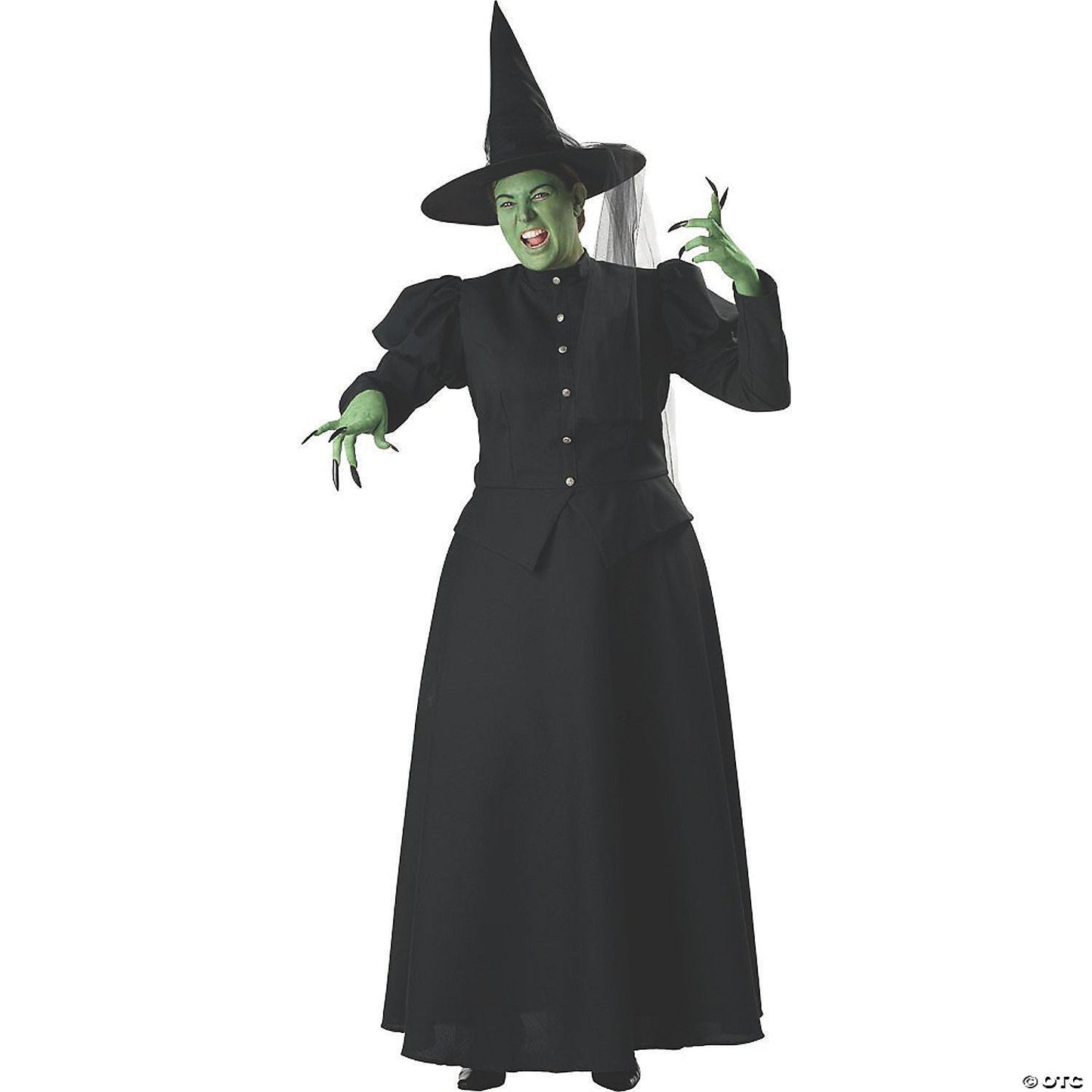 Womens Wicked Witch Plus Size Costume - 2X