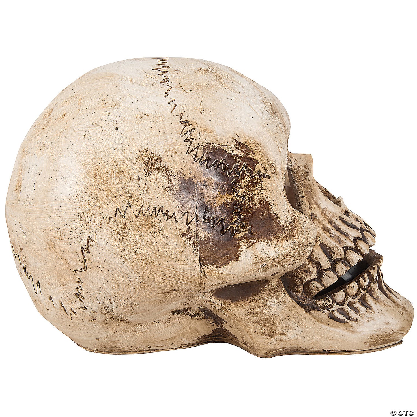 Blazing Scenes – 10-Inch Skull With Red Spider Web Projection