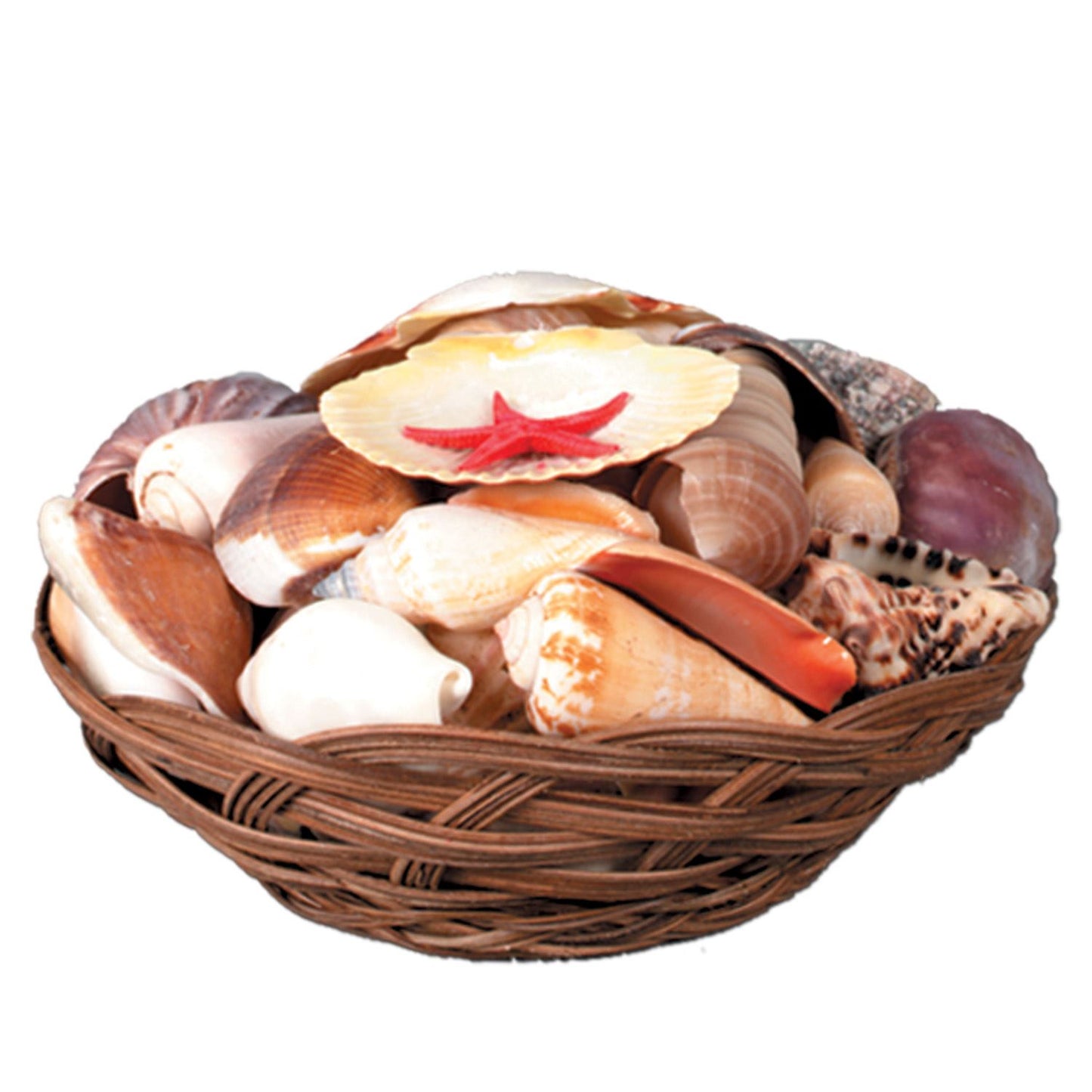 Beistle Basket of Seashells - Luau | Party Supply | Decoration