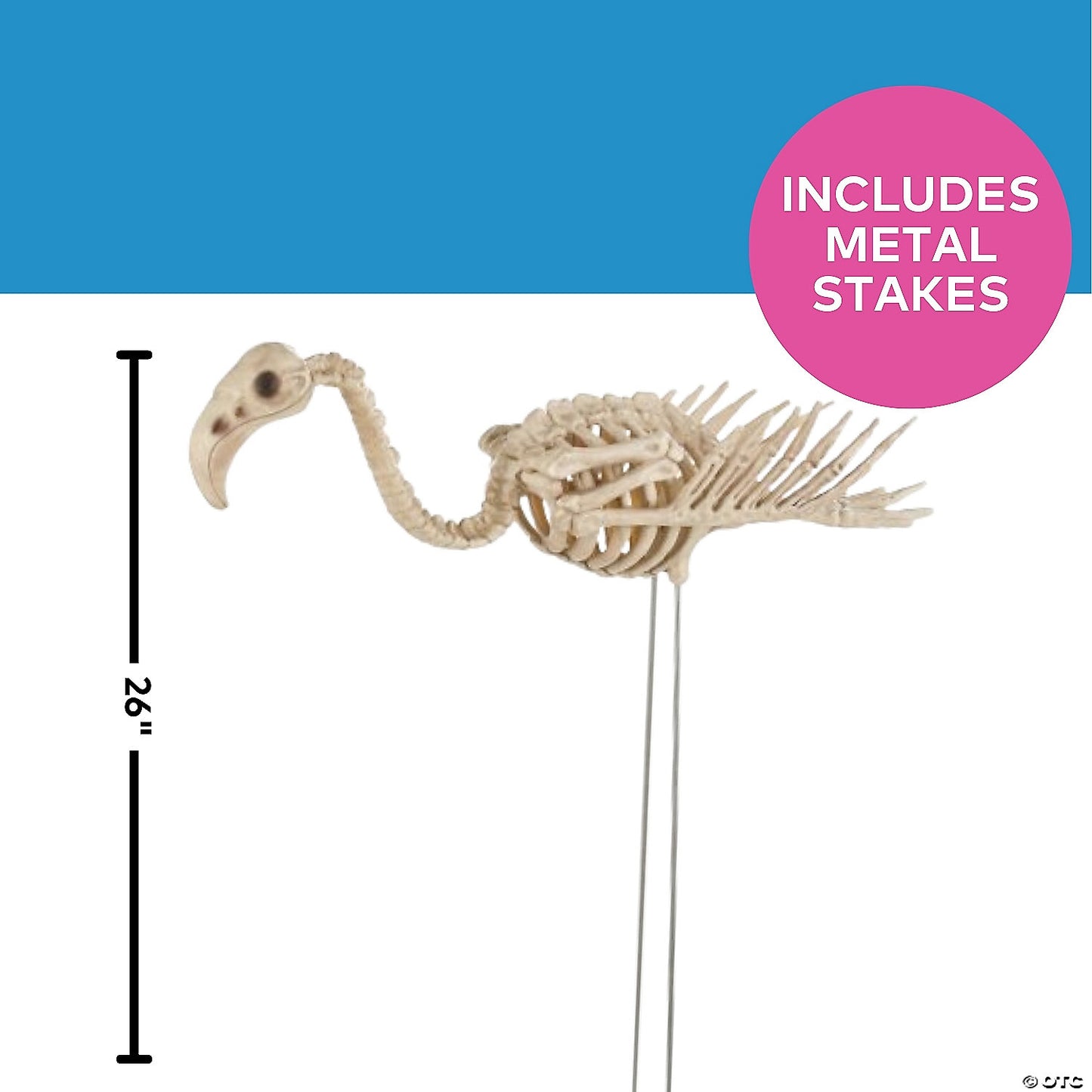 Flamingo Skeleton