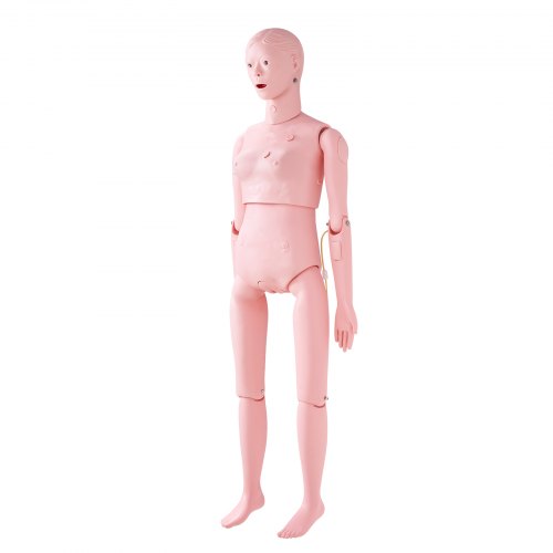 Nursing Training Manikin Female Life Size Demonstration Human For