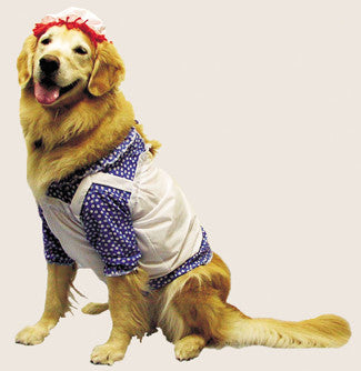 Raggedy Ann Pet Costume