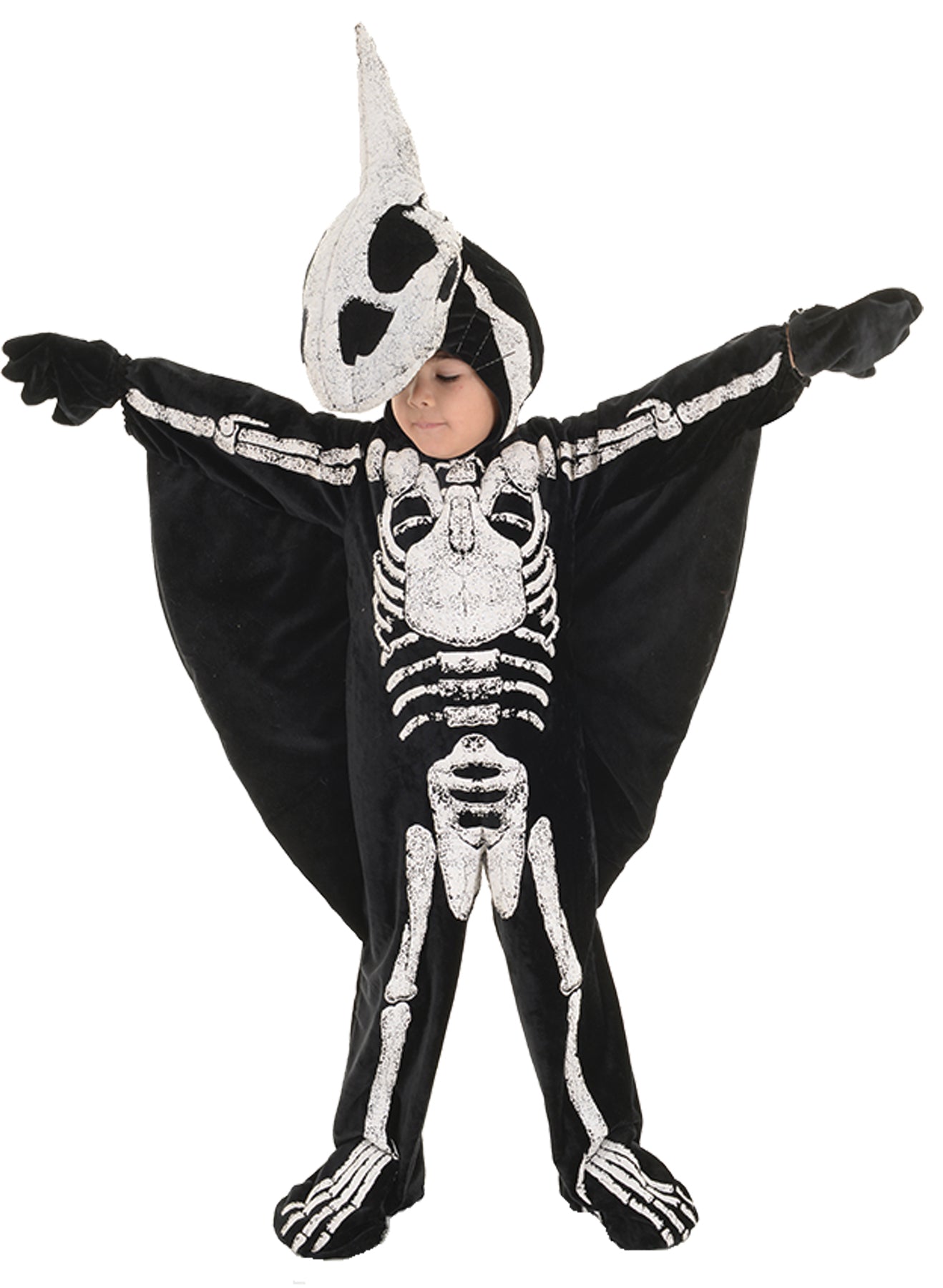 Boys | Toddler Pterodactyl Halloween Costume - 2T-4T