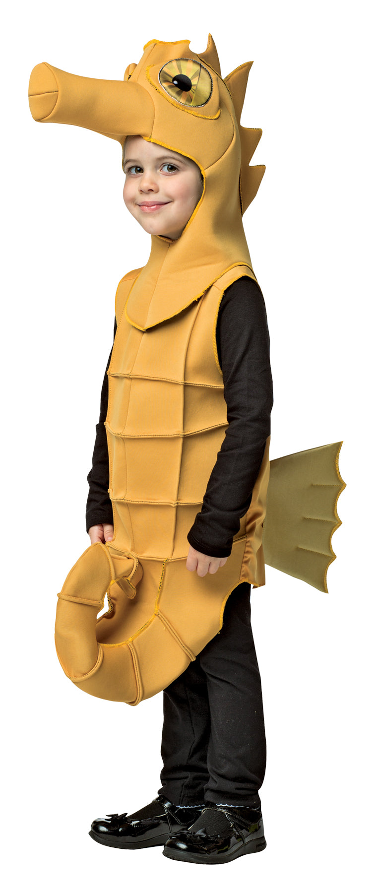 Boys | Toddler Seahorse Costume