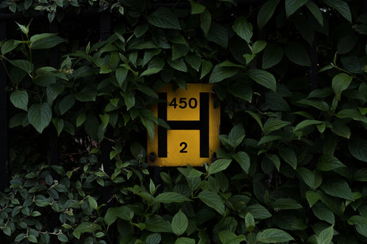 yellow and red H 450 2 signage surrounded by leaves