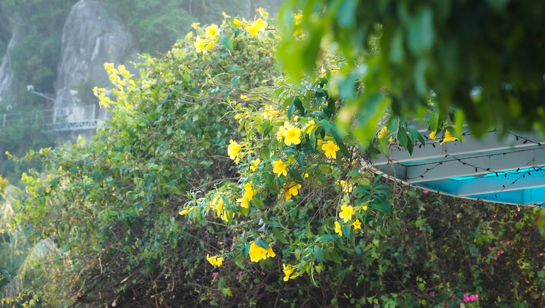 a blue boat sitting on top of a lush green hillside