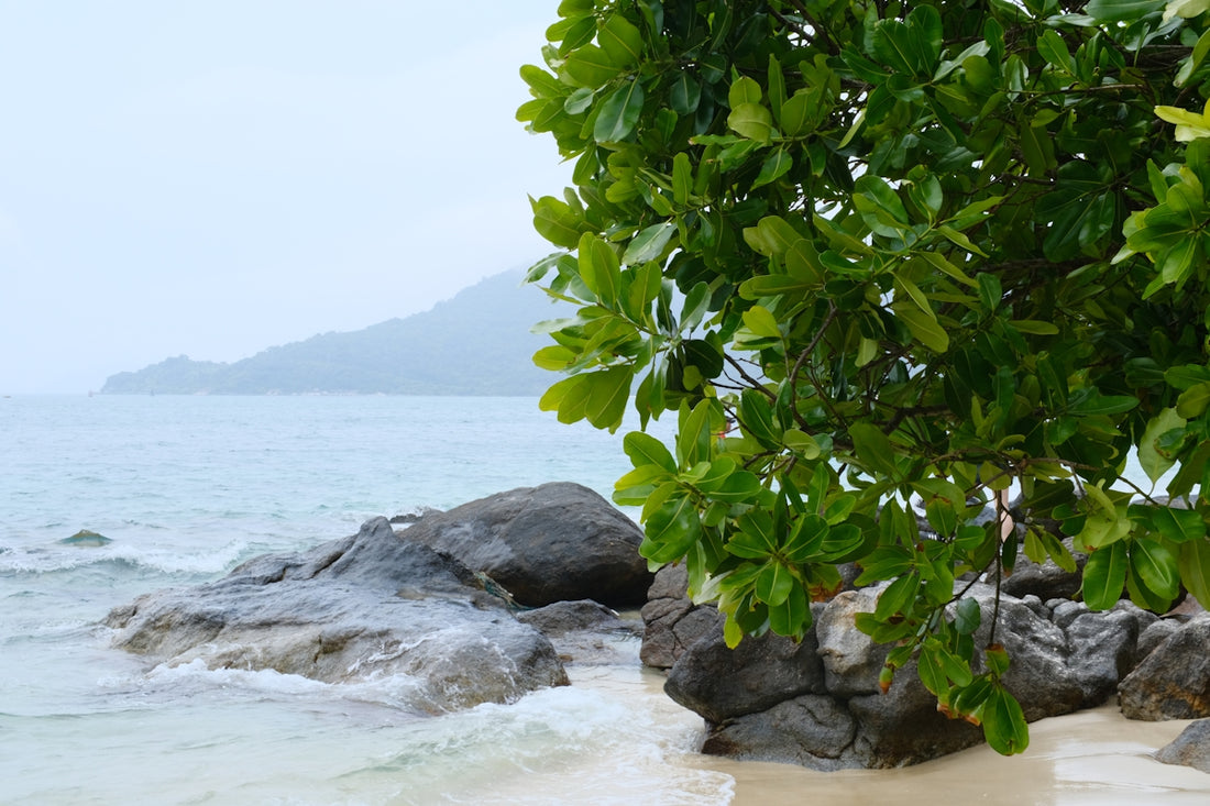 Ocean waves crash onto a rocky shore.