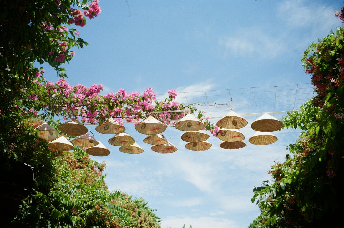 Conical hats strung between trees under a blue sky