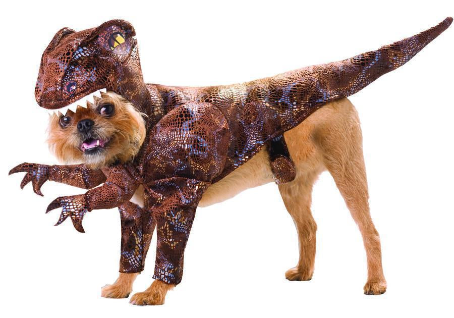Pet Costumes