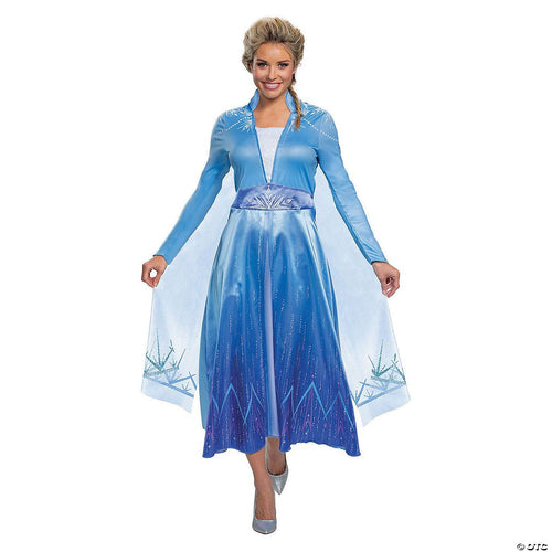 Womens Deluxe Disney's Frozen II Elsa Costume - Medium