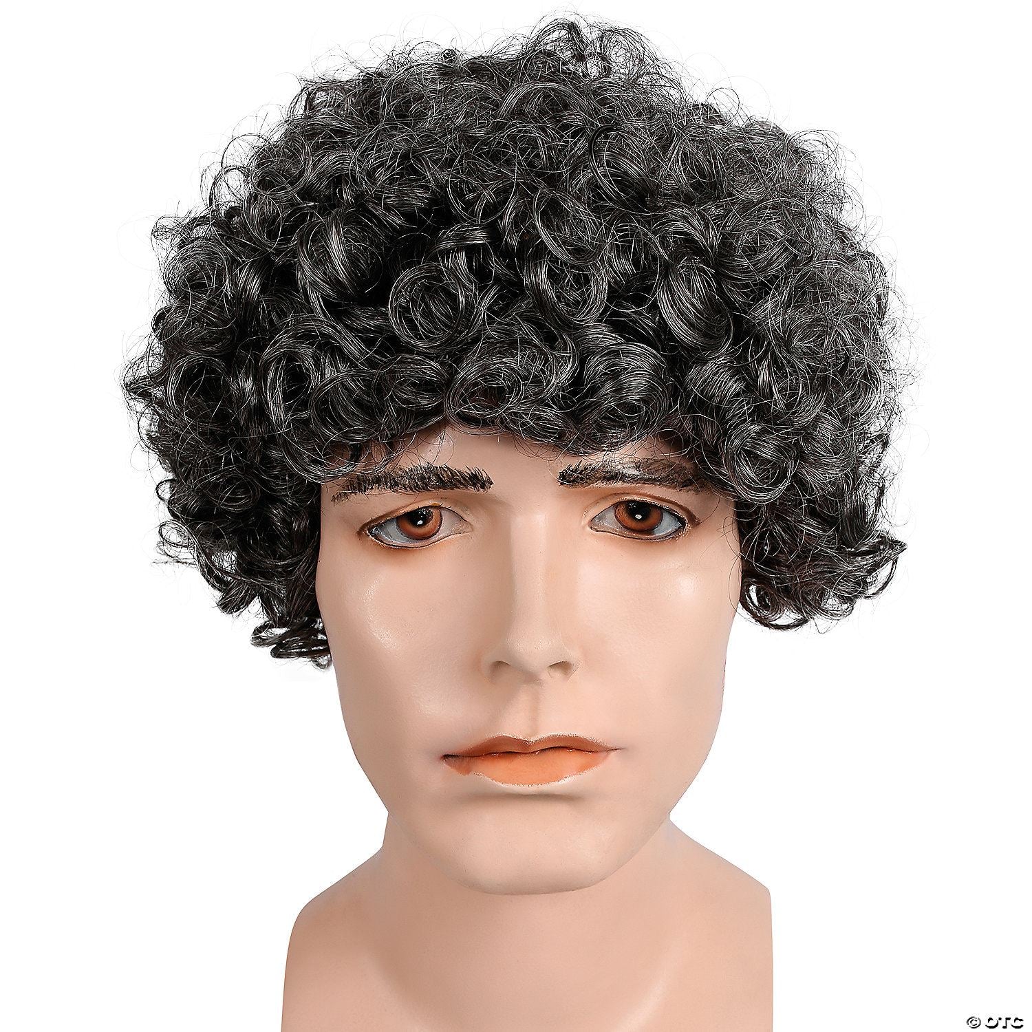Mens Curly Wig | Gray