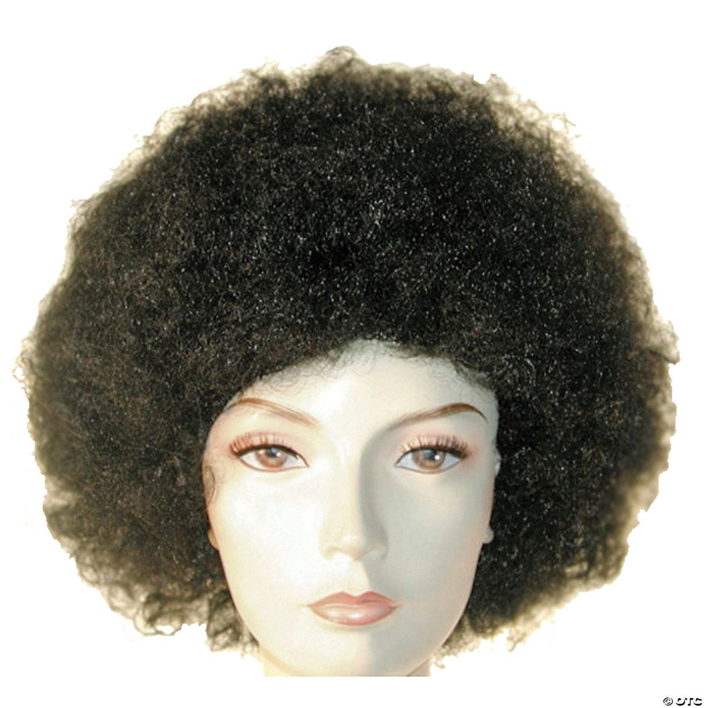 Discount Afro Wig | Black