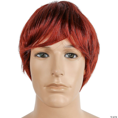 Mens Bargain Surfer Style Wig | Auburn