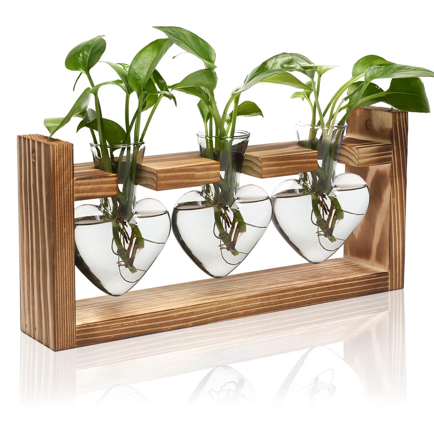 Plant Terrarium Propagation Station with 3 Heart Shaped Vases Wooden Stand