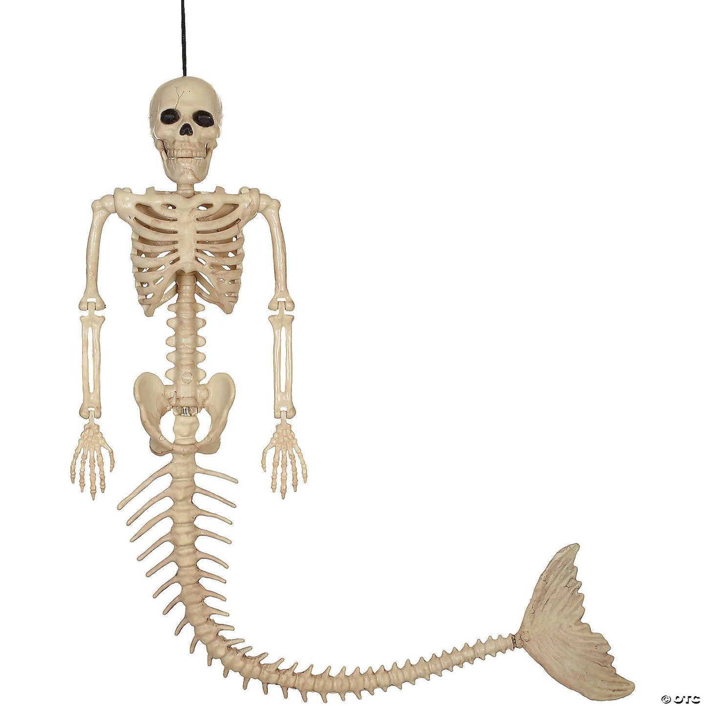 Mermaid Skeleton