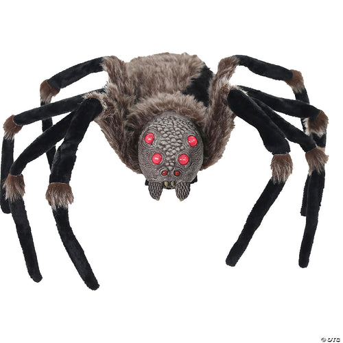 Spider Black Light Up 36 Inches