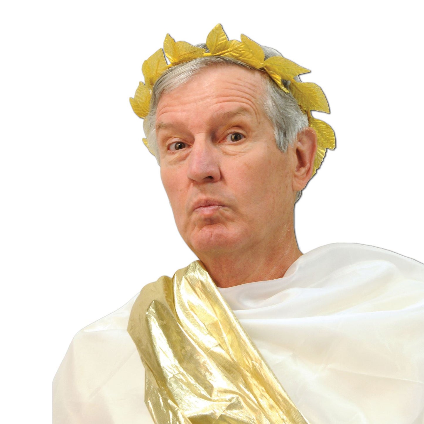 Beistle Roman Laurel Wreath - Italian | Party Supply | Decoration