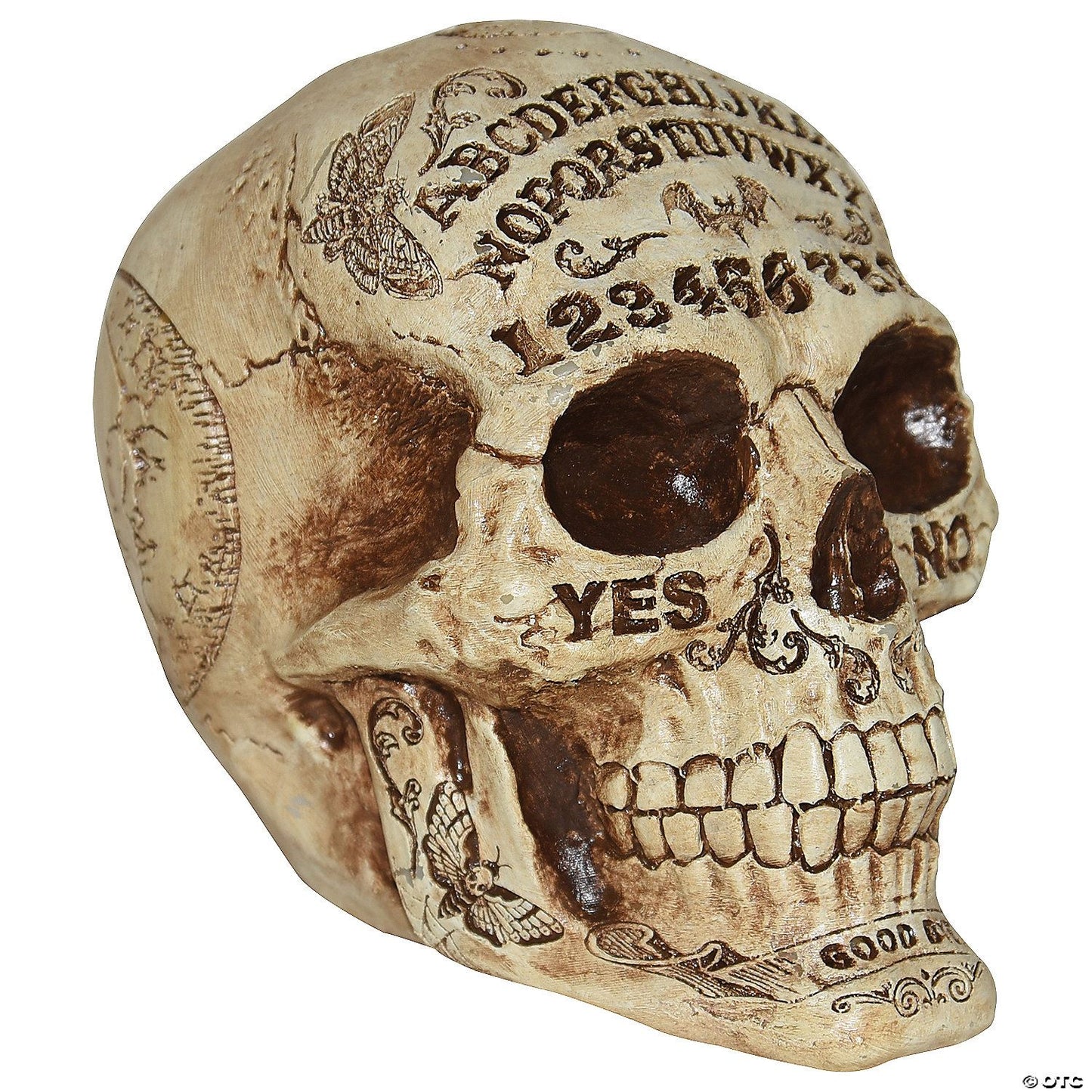 Skull Fortune Telling 7 In
