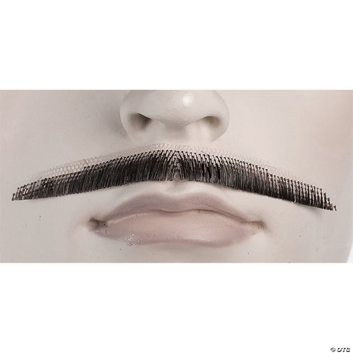 Errol Flynn Mustache Human Black 1