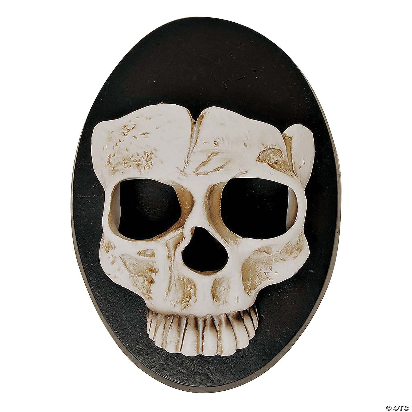 6" Skull Wall Sconce Halloween D??cor