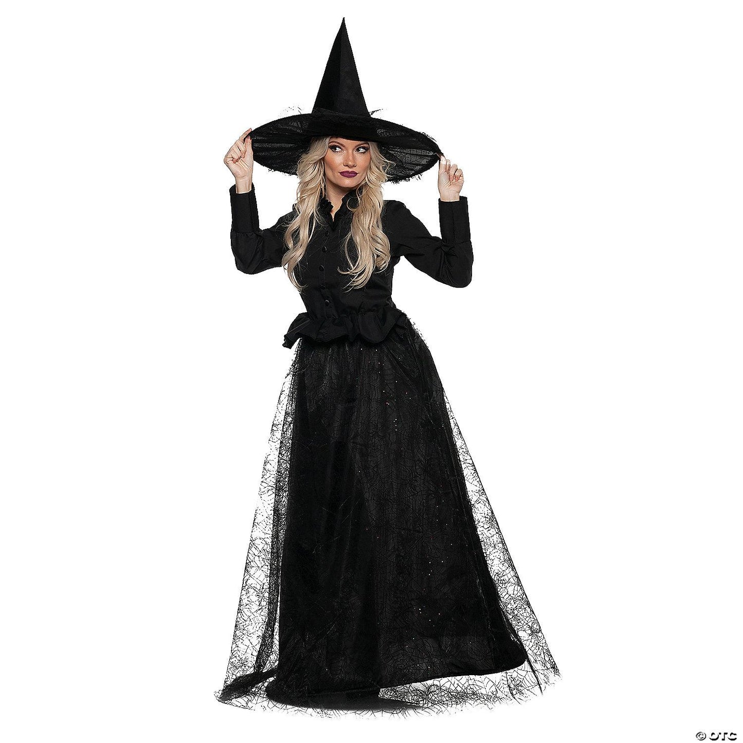 Womens Adult Wicked Witch Costume
