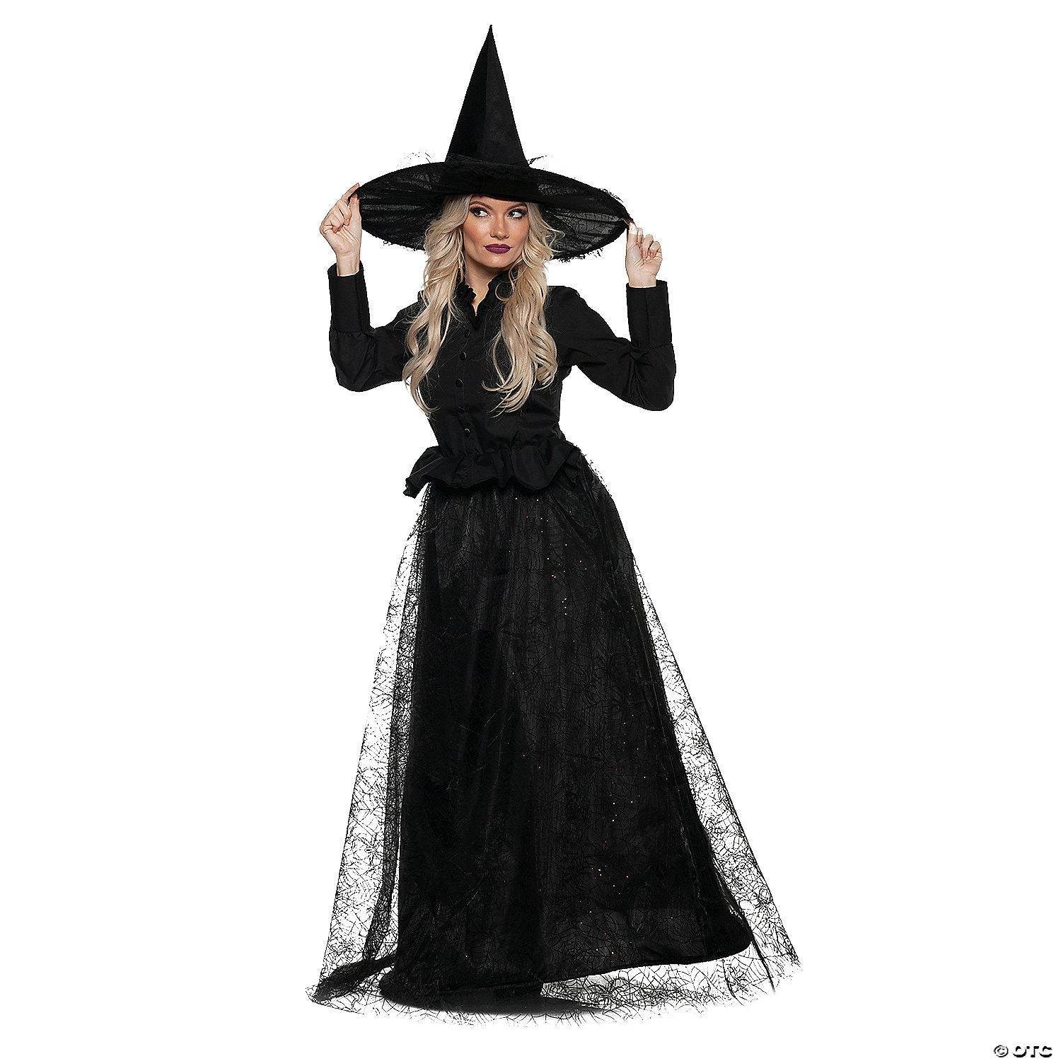 Womens Adult Wicked Witch Costume