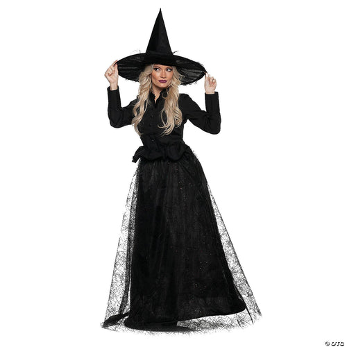 Womens Adult Wicked Witch Costume