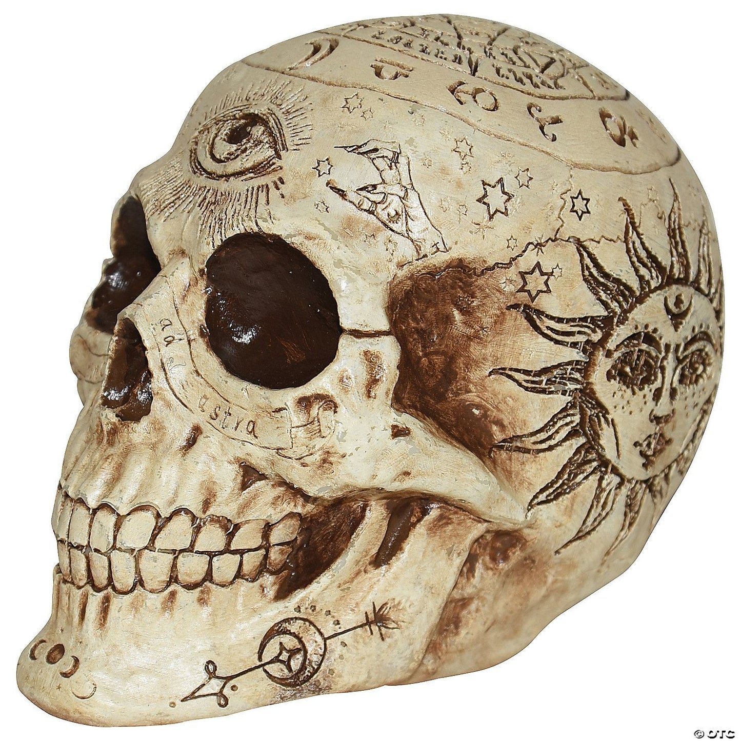 Skull Zodiac 7 In