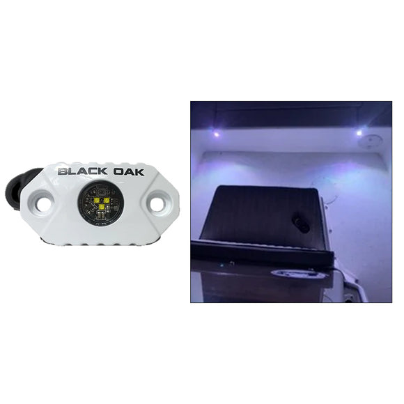 Black Oak Rock Accent Light - White LEDs - White Housing [MAL-W]