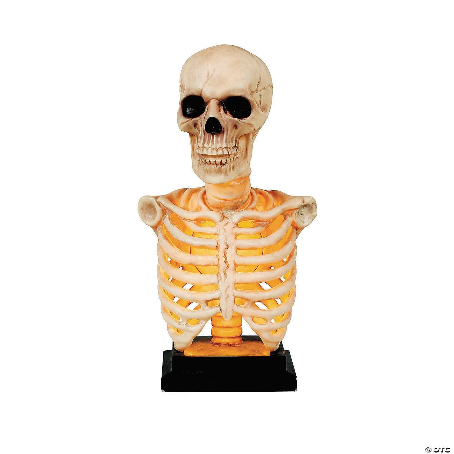 16" Skeleton Bust on Stand Halloween Tabletop Decoration | Halloween Decoration