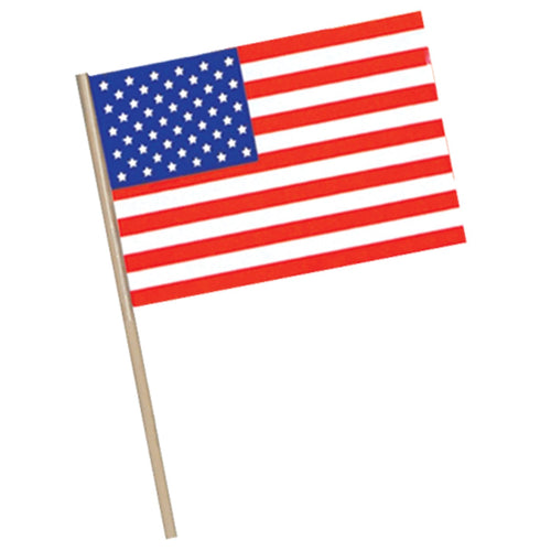 Beistle Plastic American Flag - Patriotic | Party Supply | Decoration