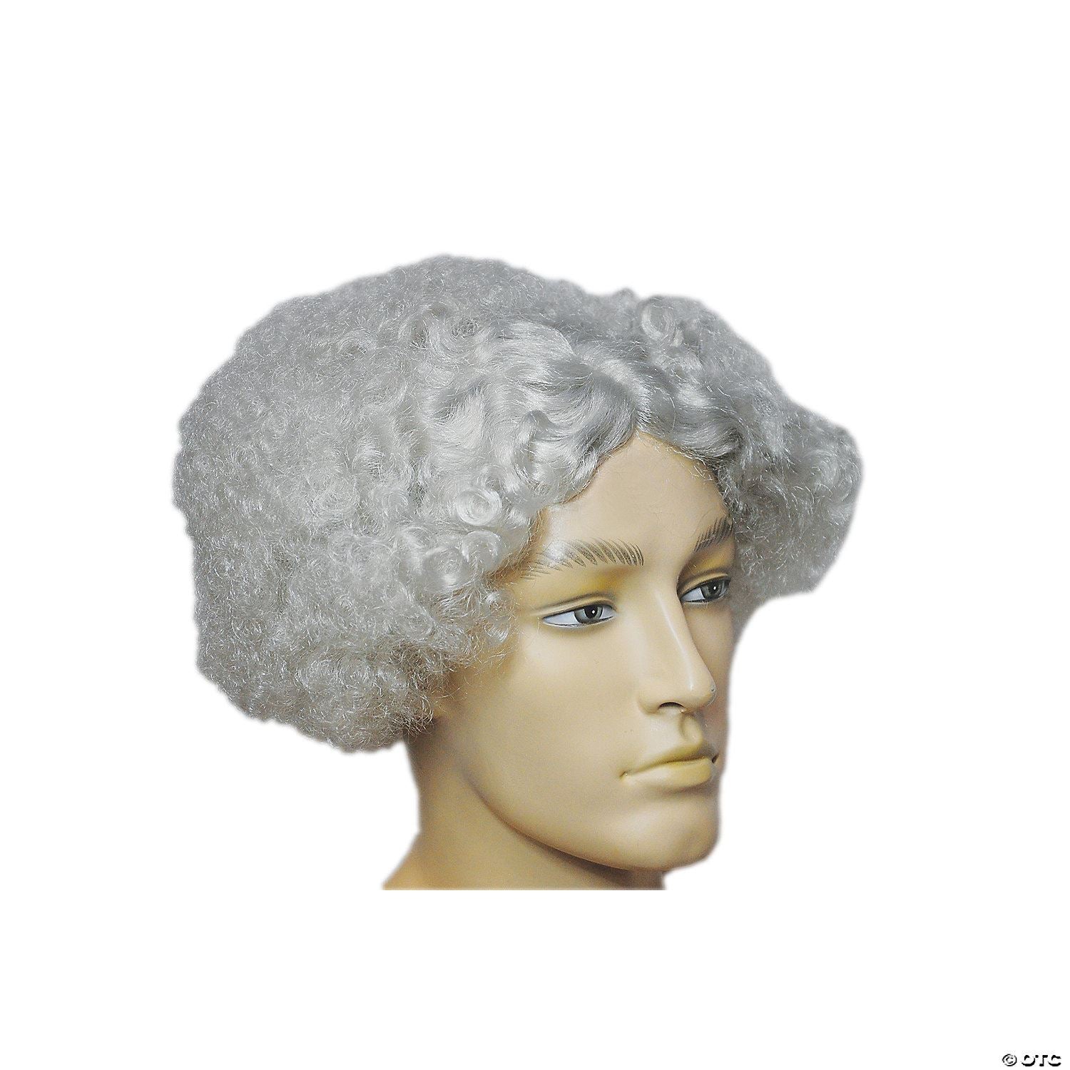 Mens Special Bargain Mad Scientist Wig | Gray