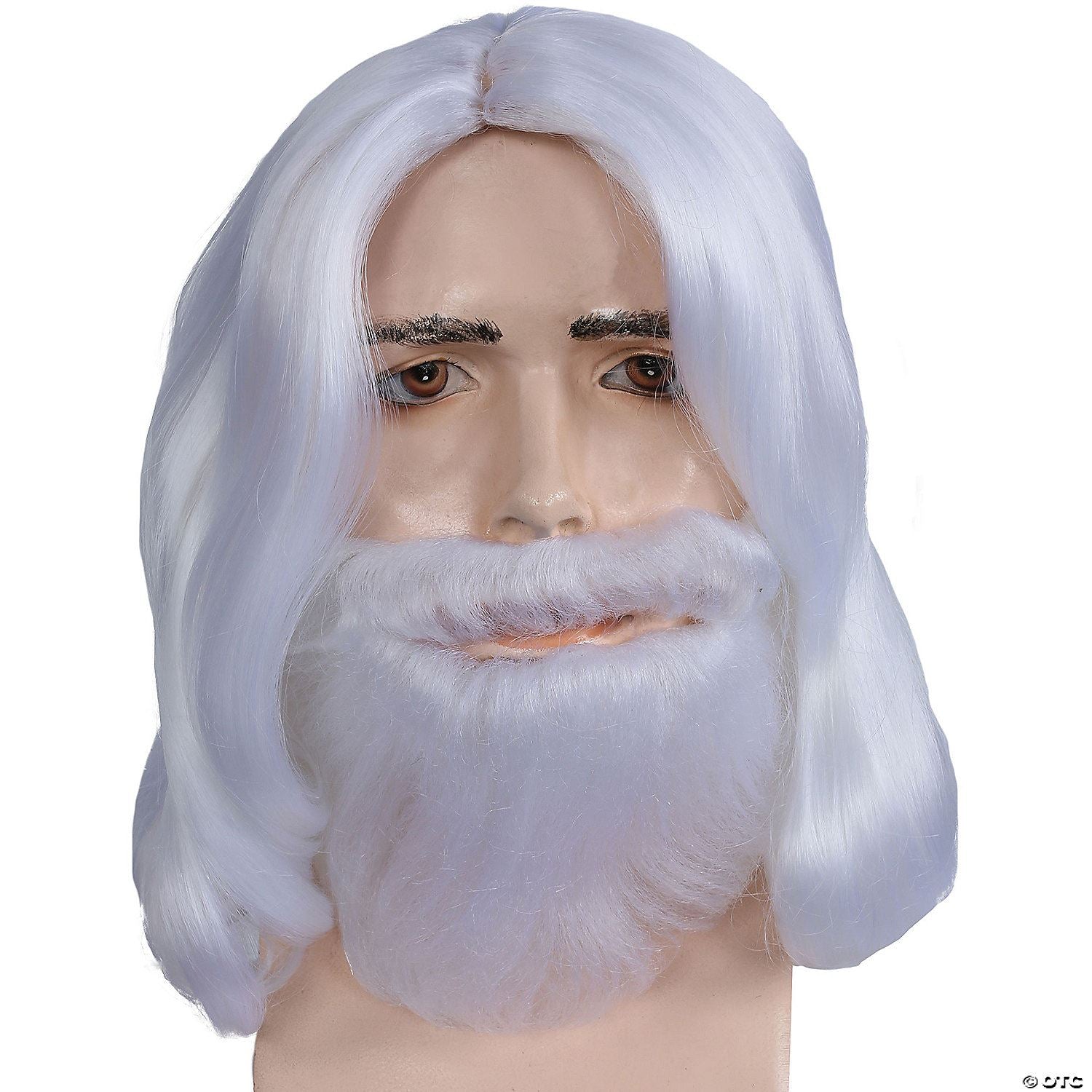 Mens Biblical Wig & Beard Set | White