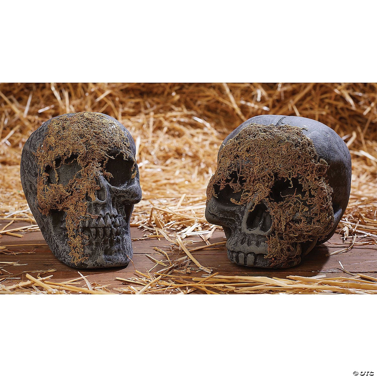 Skull Moss Covered No Jaw