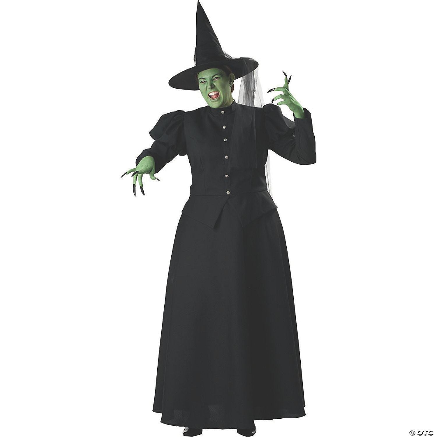 Womens Wicked Witch Plus Size Costume - 2X