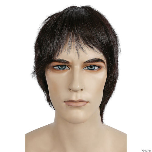 Mens Bargain Surfer Style Wig | Brown