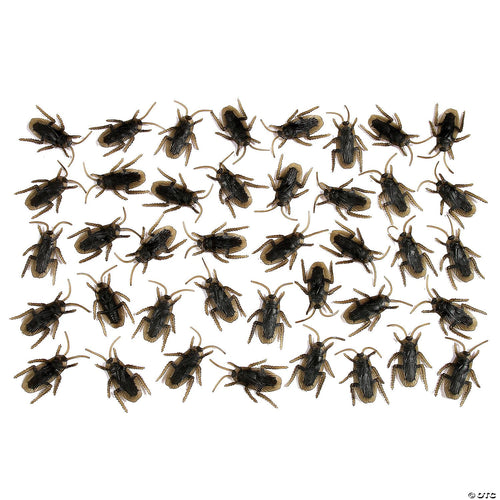 Cockroaches - Bag Of 40