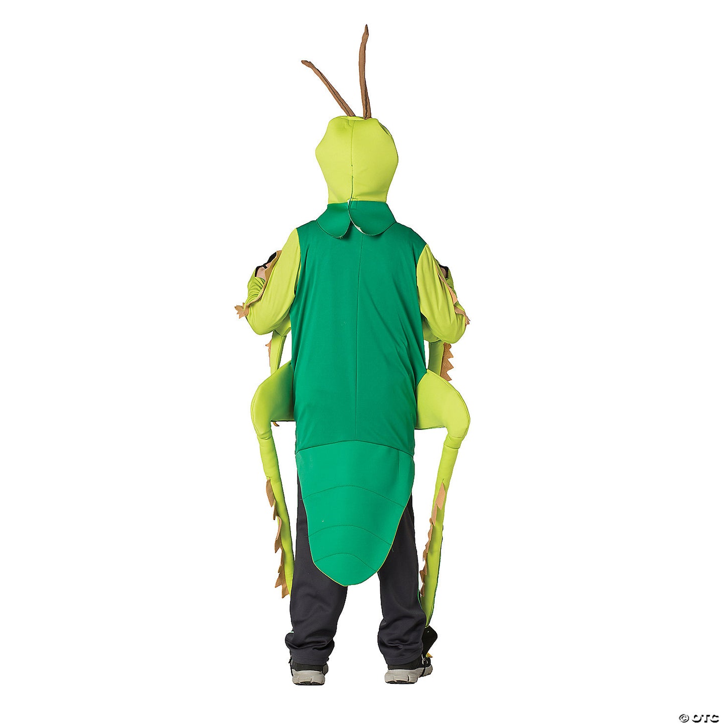 Child'S Grasshopper Costume