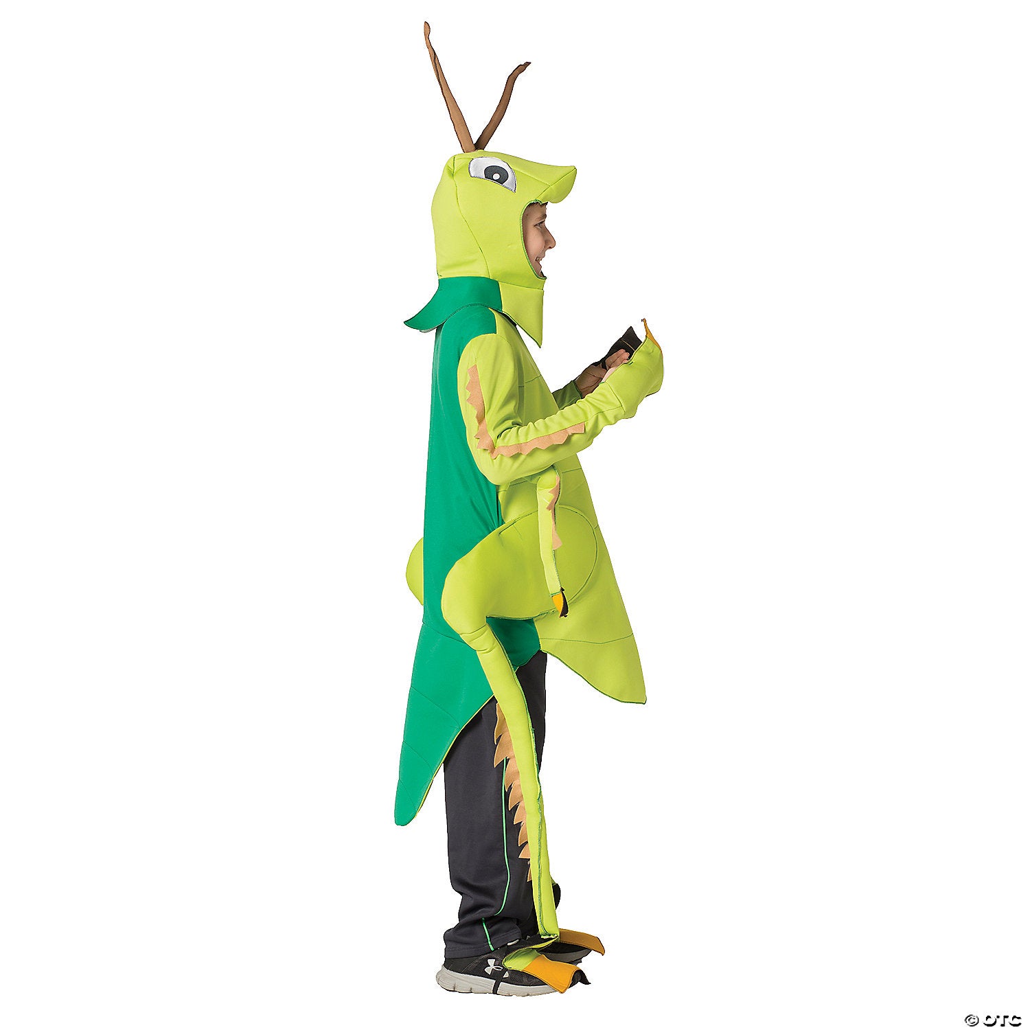 Child'S Grasshopper Costume