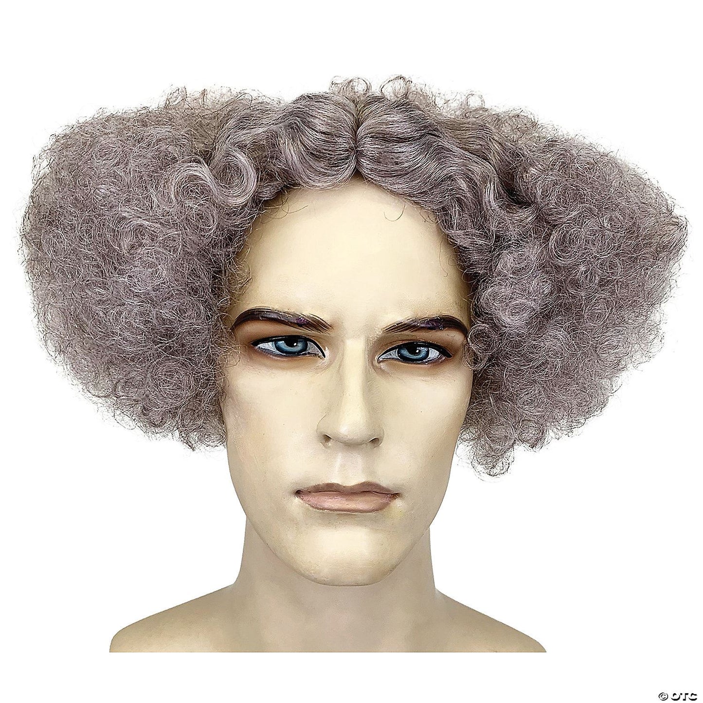 Adults Gray Mad Scientist Wig