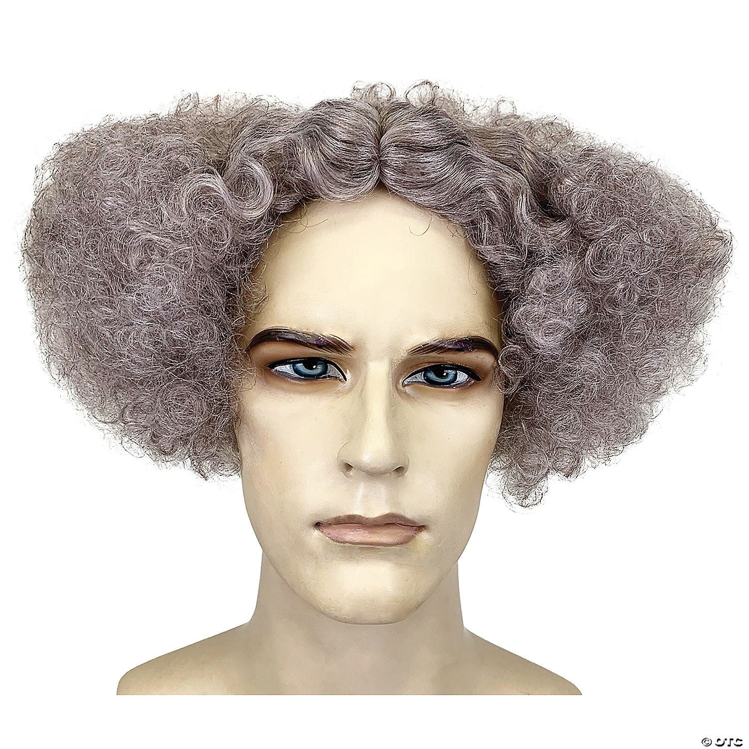 Adults Gray Mad Scientist Wig